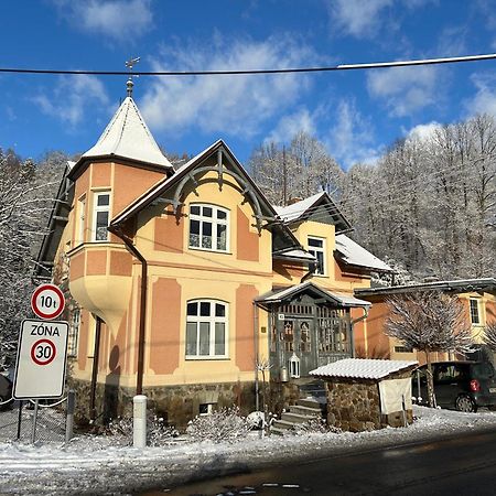Apartmany Villa Magnolie Lipová-lázně Buitenkant foto
