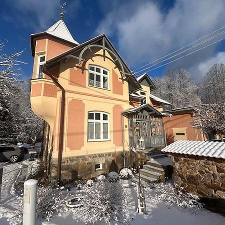 Apartmany Villa Magnolie Lipová-lázně Buitenkant foto