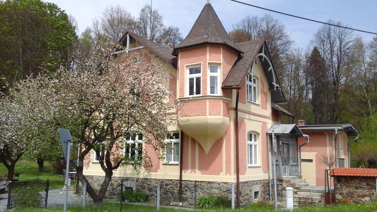 Apartmany Villa Magnolie Lipová-lázně Buitenkant foto